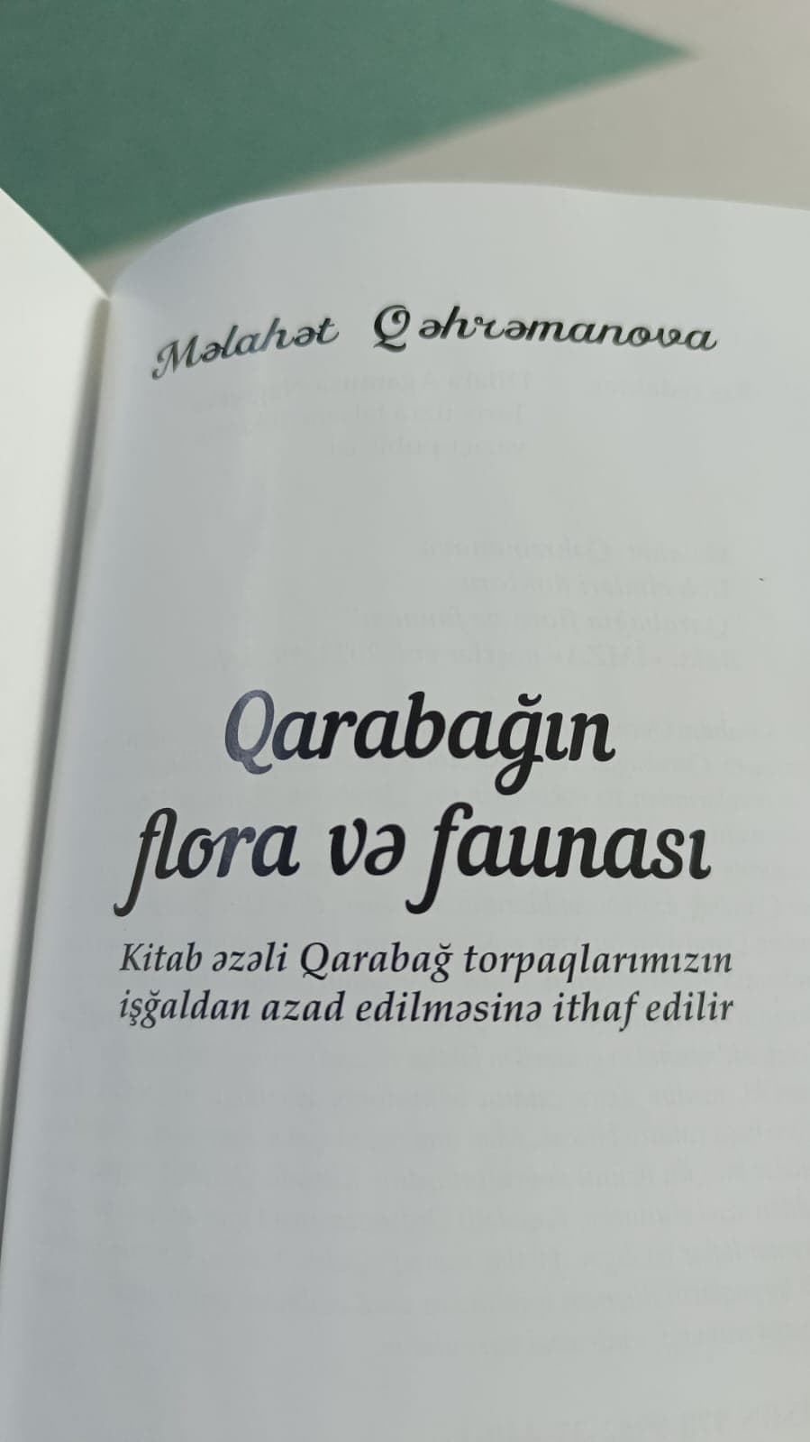 Qalereya 4